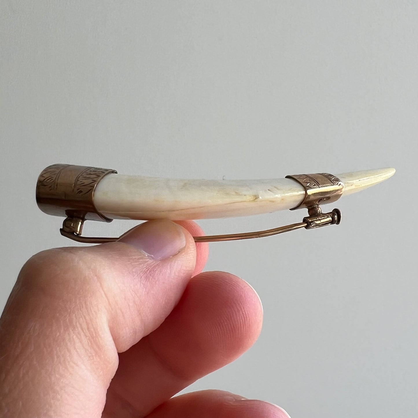 A N T I Q U E // double tusk / 9k capped victorian tusk / a brooch