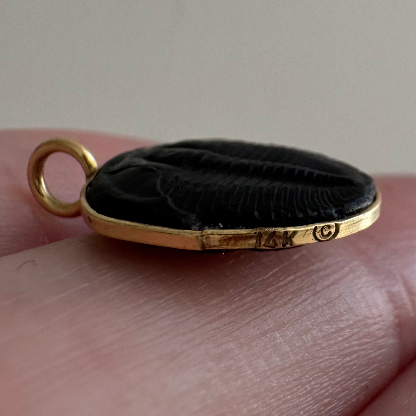 V I N T A G E // from another time / 14k yellow gold and trilobite fossil / a pendant