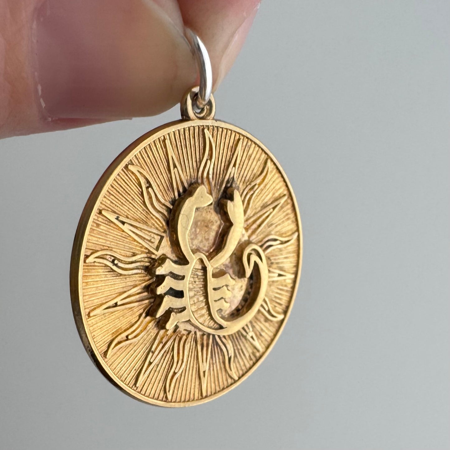 V I N T A G E // the scorpion and the sun / gold wash over sterling silver stylized scorpion by Rembrandt / a pendant