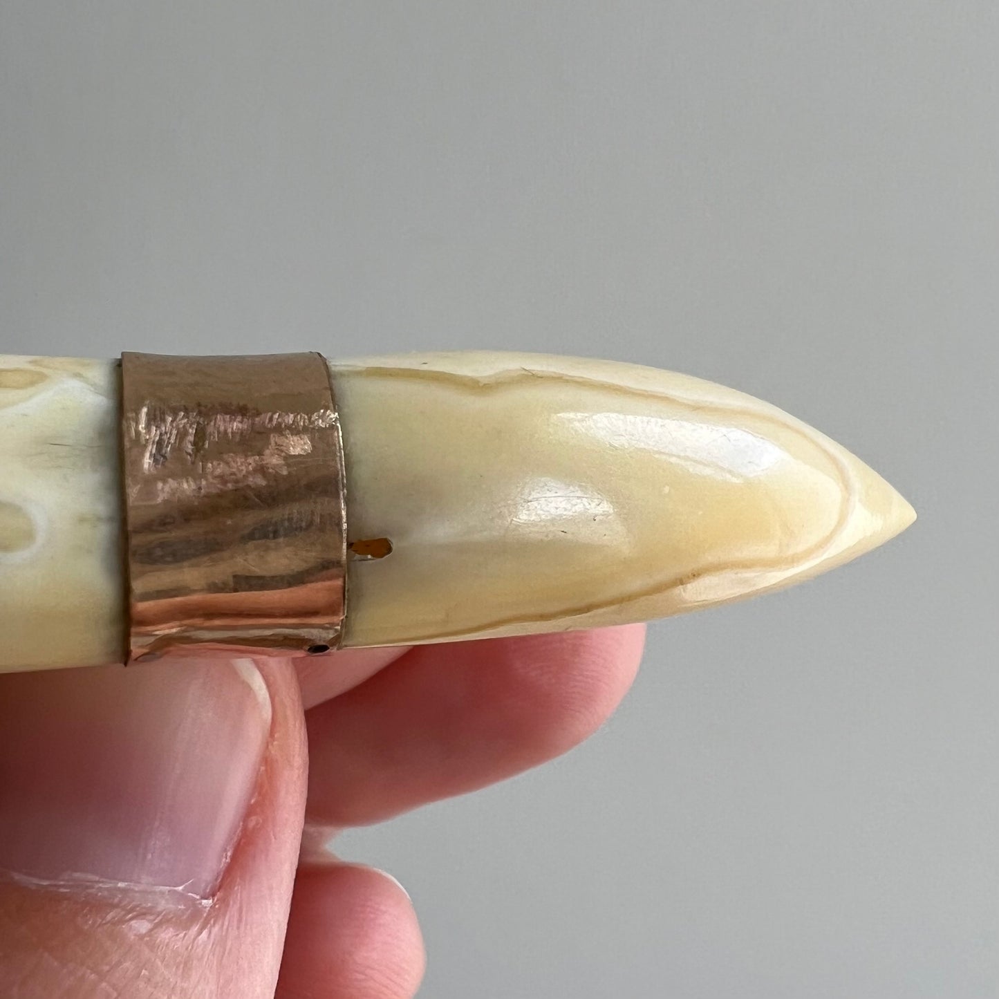 A N T I Q U E // double tusk / gold filled boar tooth or tusk / a brooch