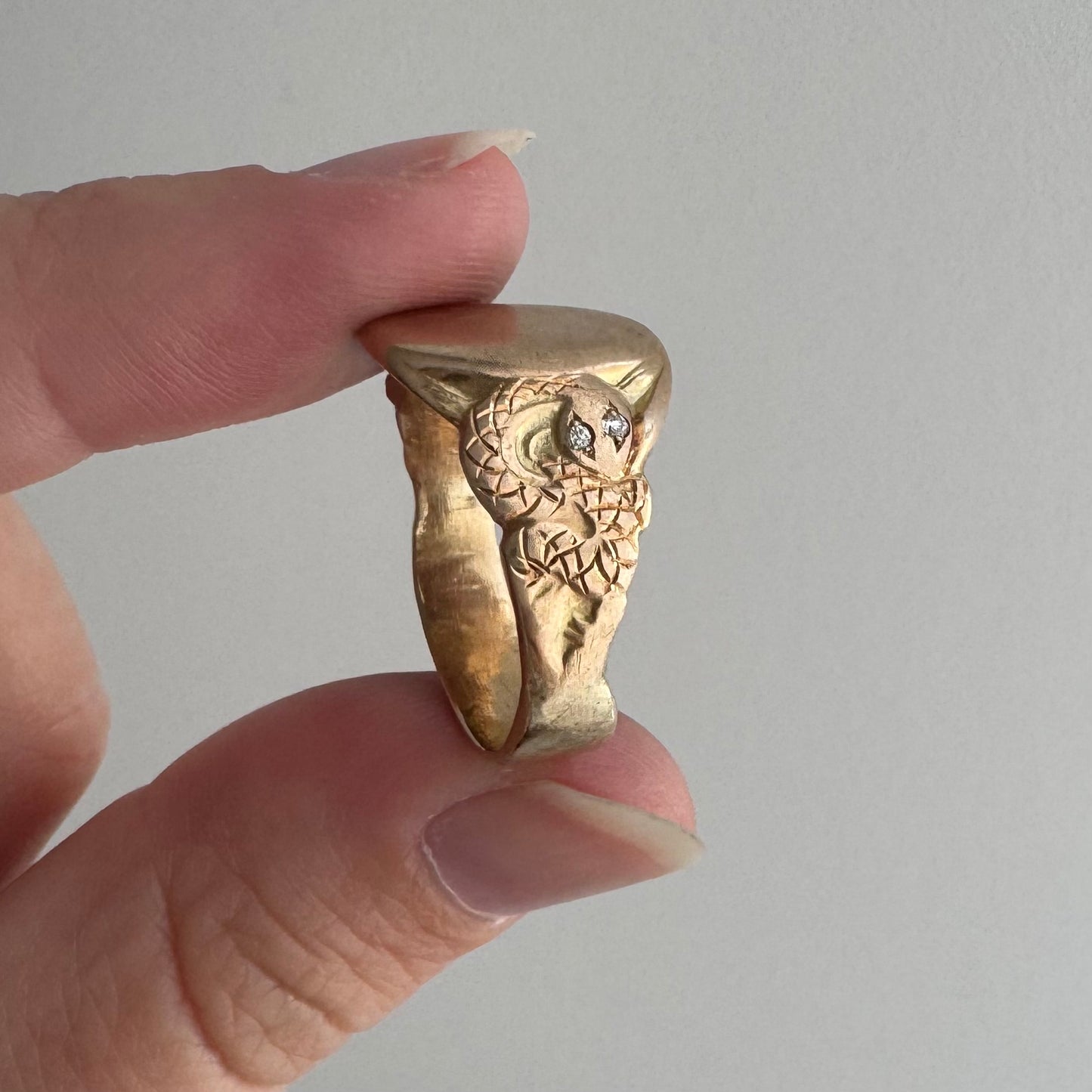 reimagined V I N T A G E // subtle slither / 10k turn of the century blank signet ring with reworked snake shoulders / size 8ish