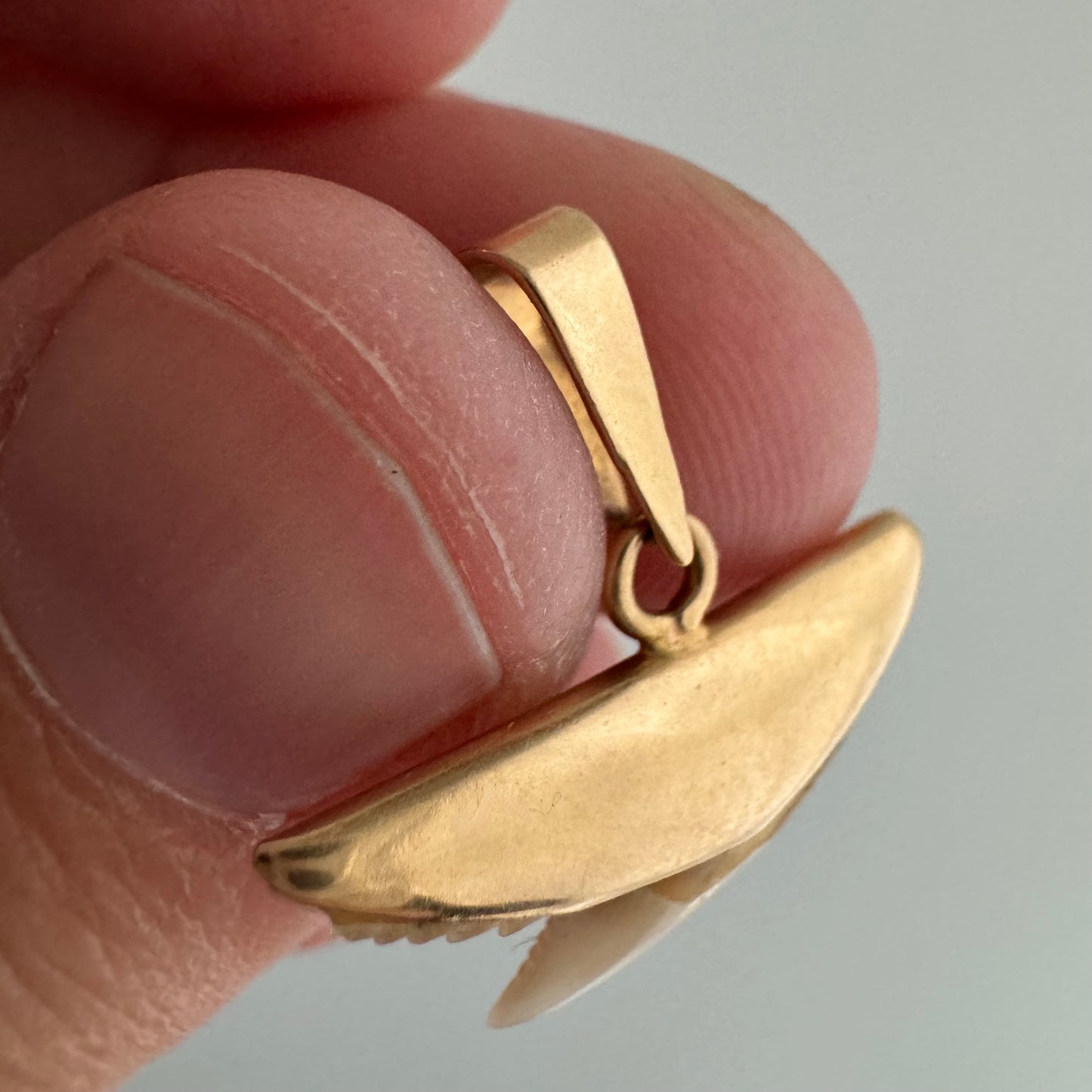 A N T I Q U E // shark tooth / 10k gold and shark tooth / a pendant