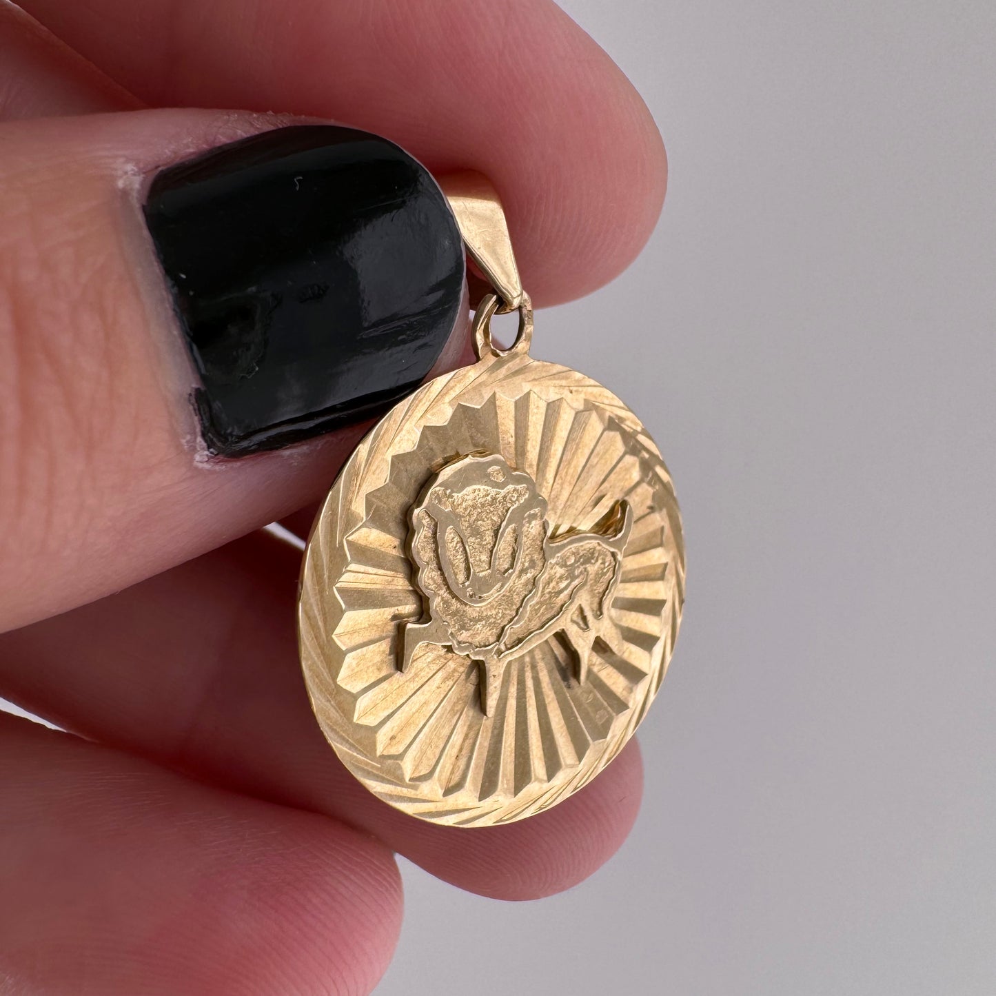 V I N T A G E // a leo and their rays of sunshine / 10k yellow gold leo lion zodiac disc / a pendant