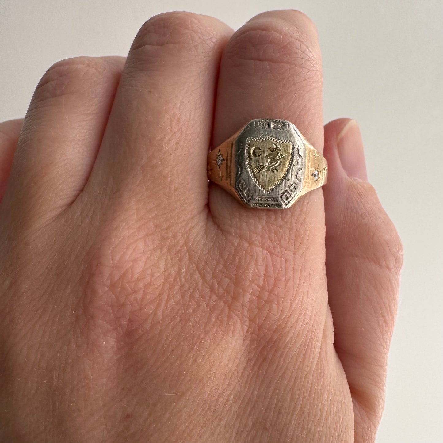 reimagined V I N T A G E // the best witch / 10k tricolor gold and diamond witch shield signet ring / size 8.25