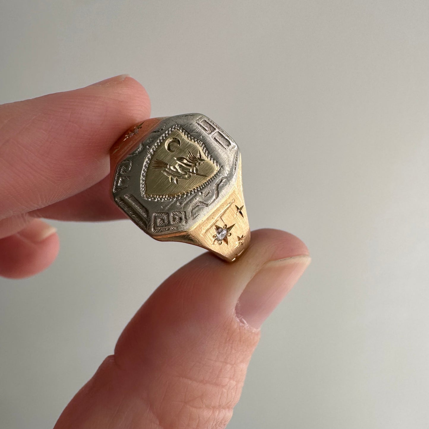 reimagined V I N T A G E // the best witch / 10k tricolor gold and diamond witch shield signet ring / size 8.25