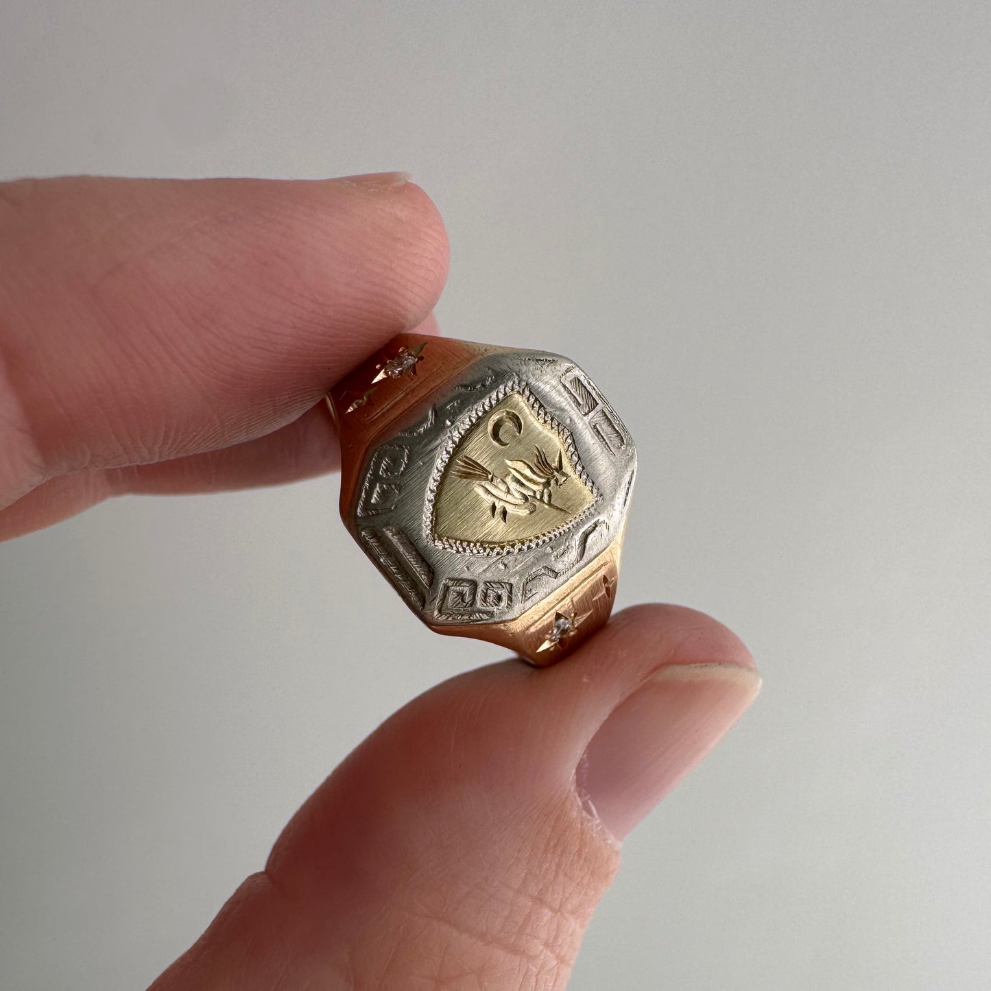 reimagined V I N T A G E // the best witch / 10k tricolor gold and diamond witch shield signet ring / size 8.25